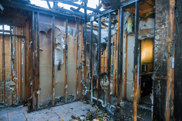 Professional Odor Removal technician working in Pinehurst, ID